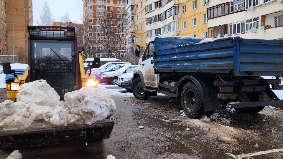 Фото: МедиаБанк Подмосковья/Андрей Алекин