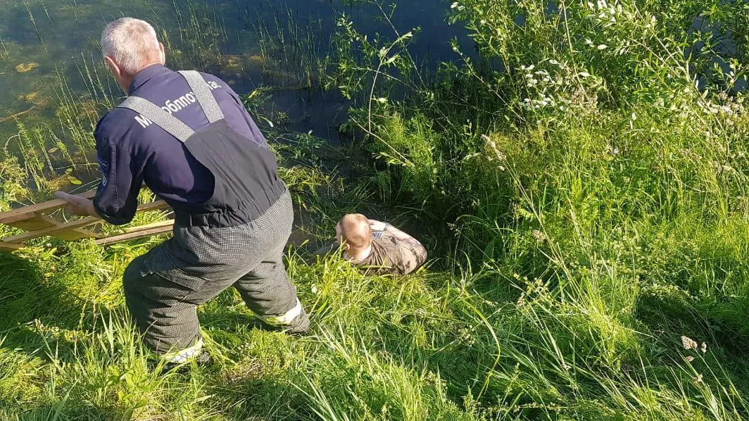 Юношу с ограниченными возможностями здоровья спасли из пруда в Подмосковье