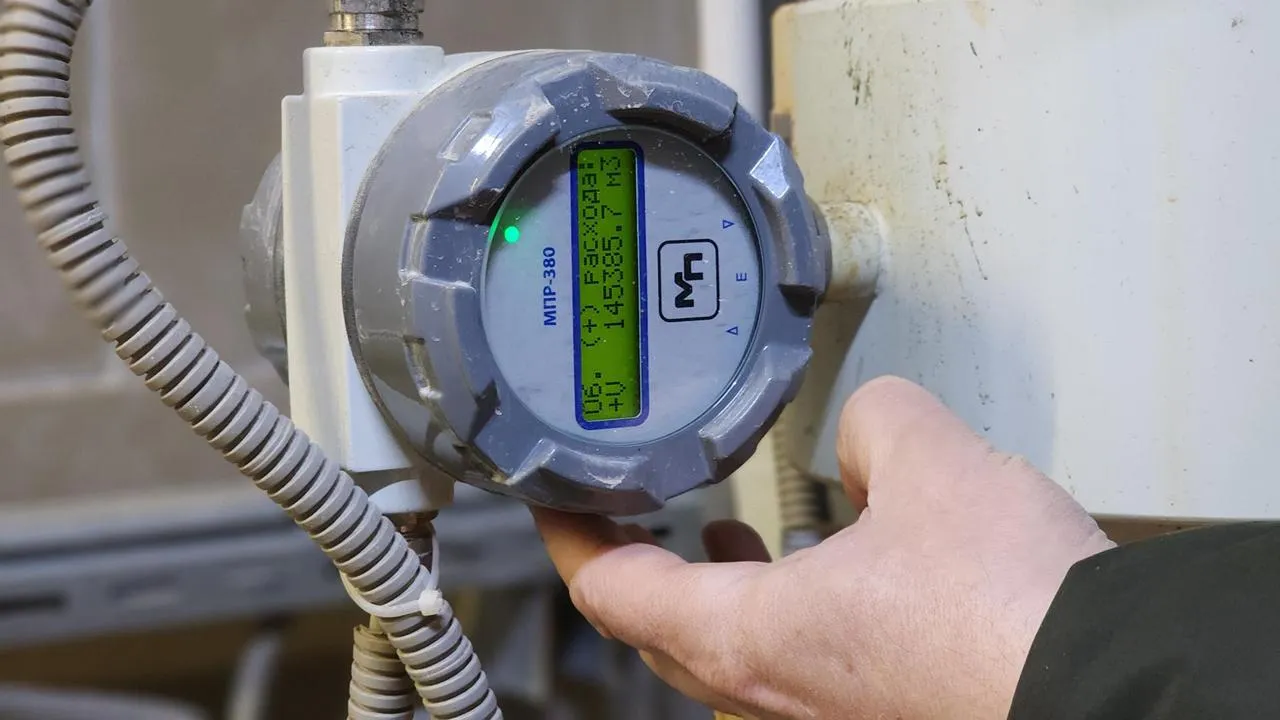 МедиаБанк Подмосковья/Екатерина Данилина