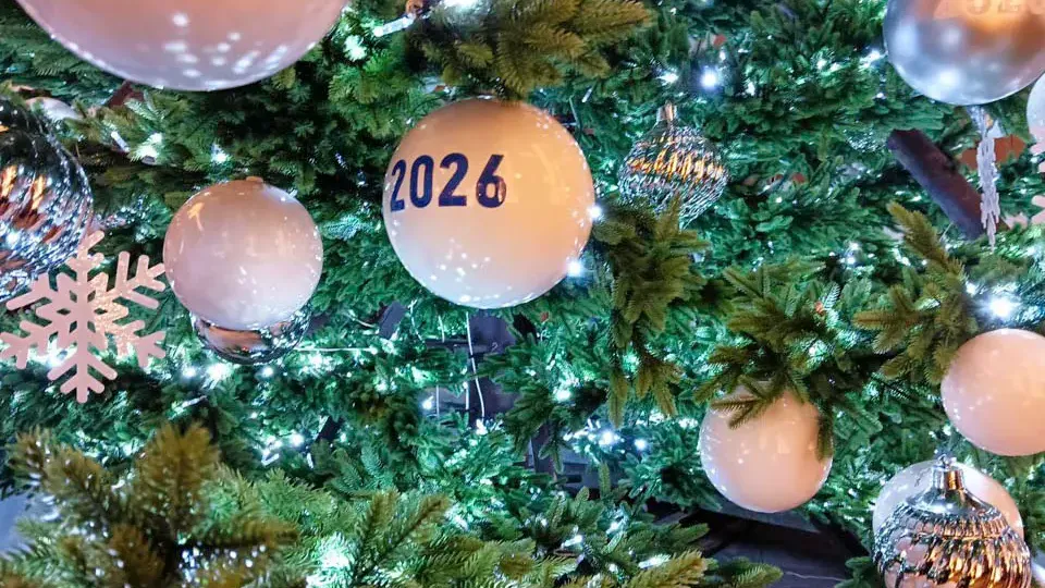 Фото: REGIONS/Наталья Пичугина