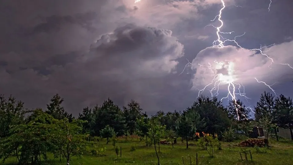 Фото: МедиаБанк Подмосковья/Алексей Окунеев