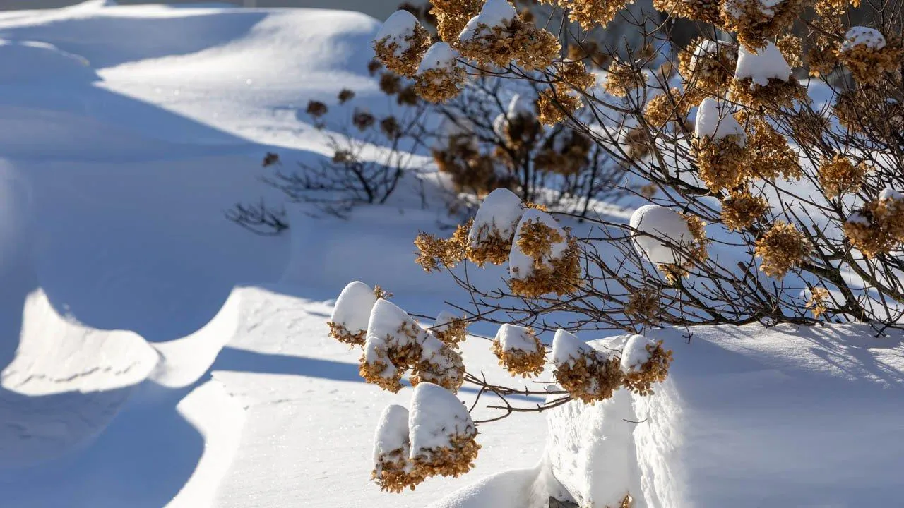 REGIONS/Роман Малышенко