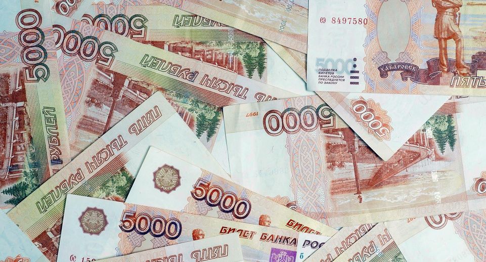Депутат Выборный: внесудебные методы взыскания налогов разгрузят суды