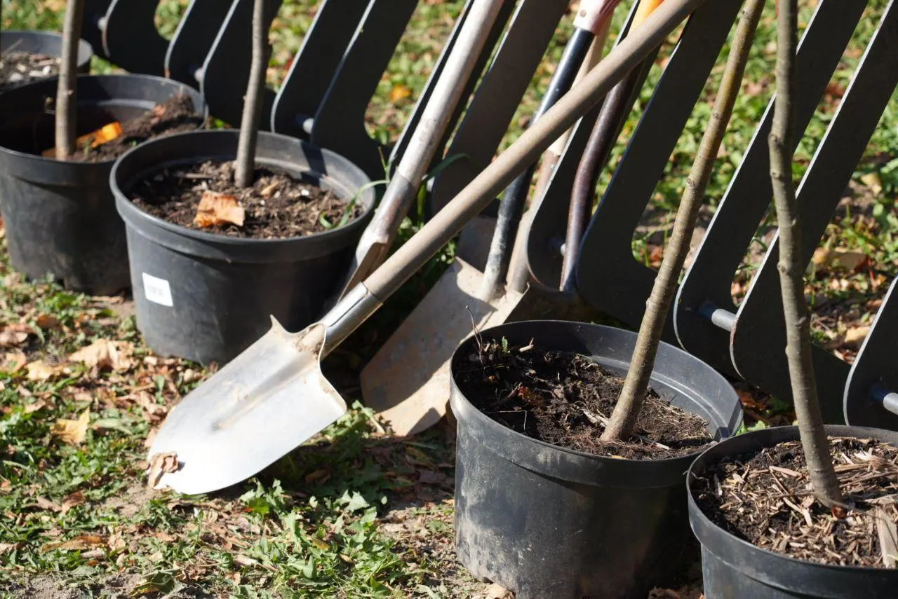 Дмитрий Зайчиков