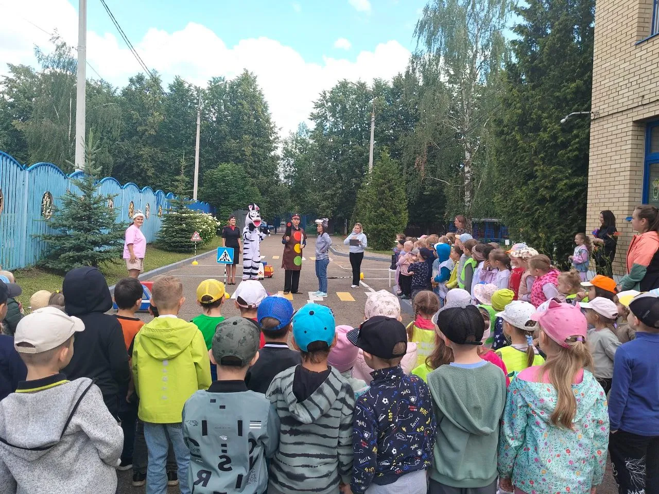 Фото: Госавтоинспекция УМВД России по г. о. Домодедово