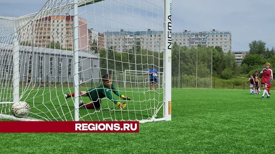 Фото: пресс-служба администрации городского округа Луховицы