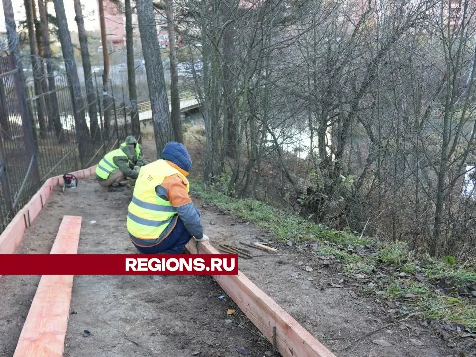 Фото: Дмитрий Зайчиков