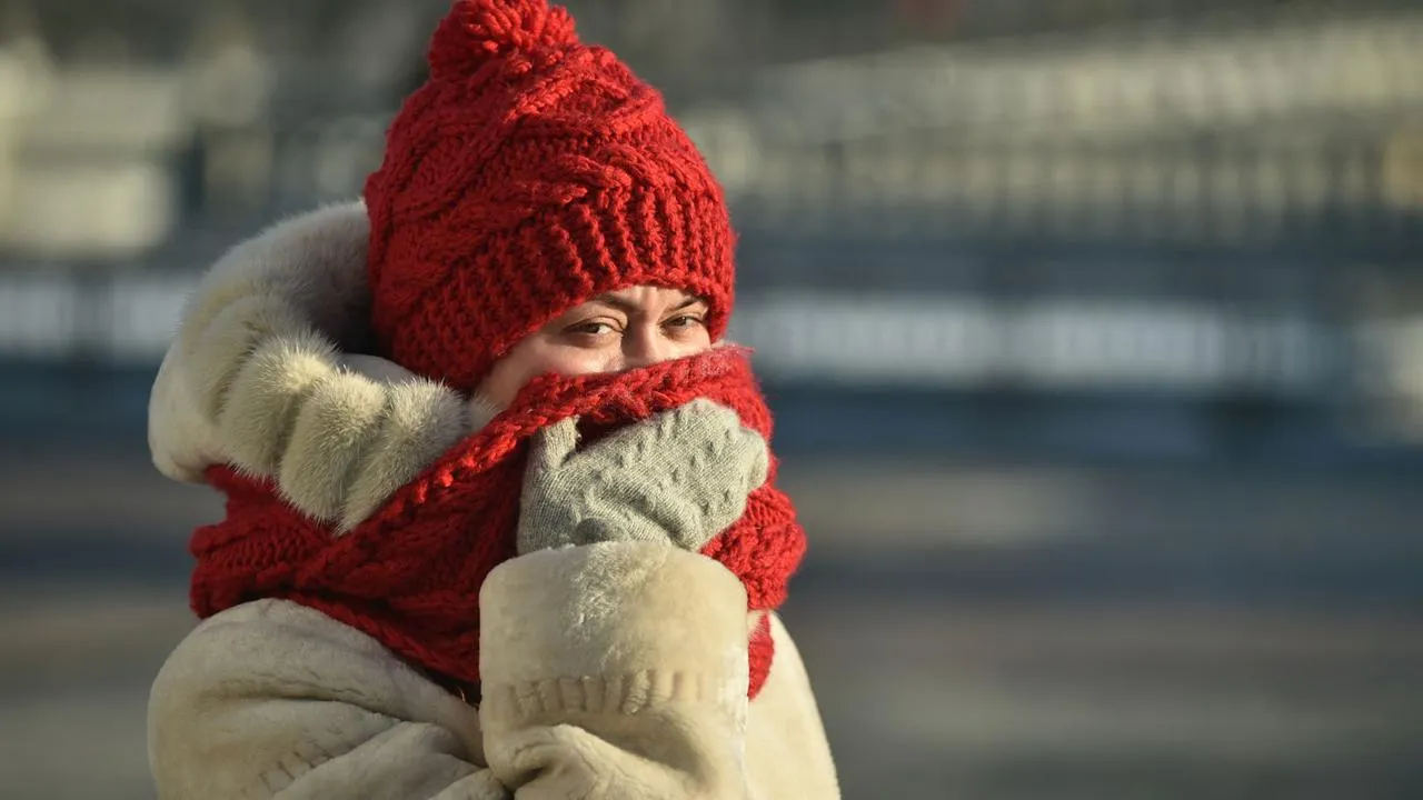 медиасток.рф