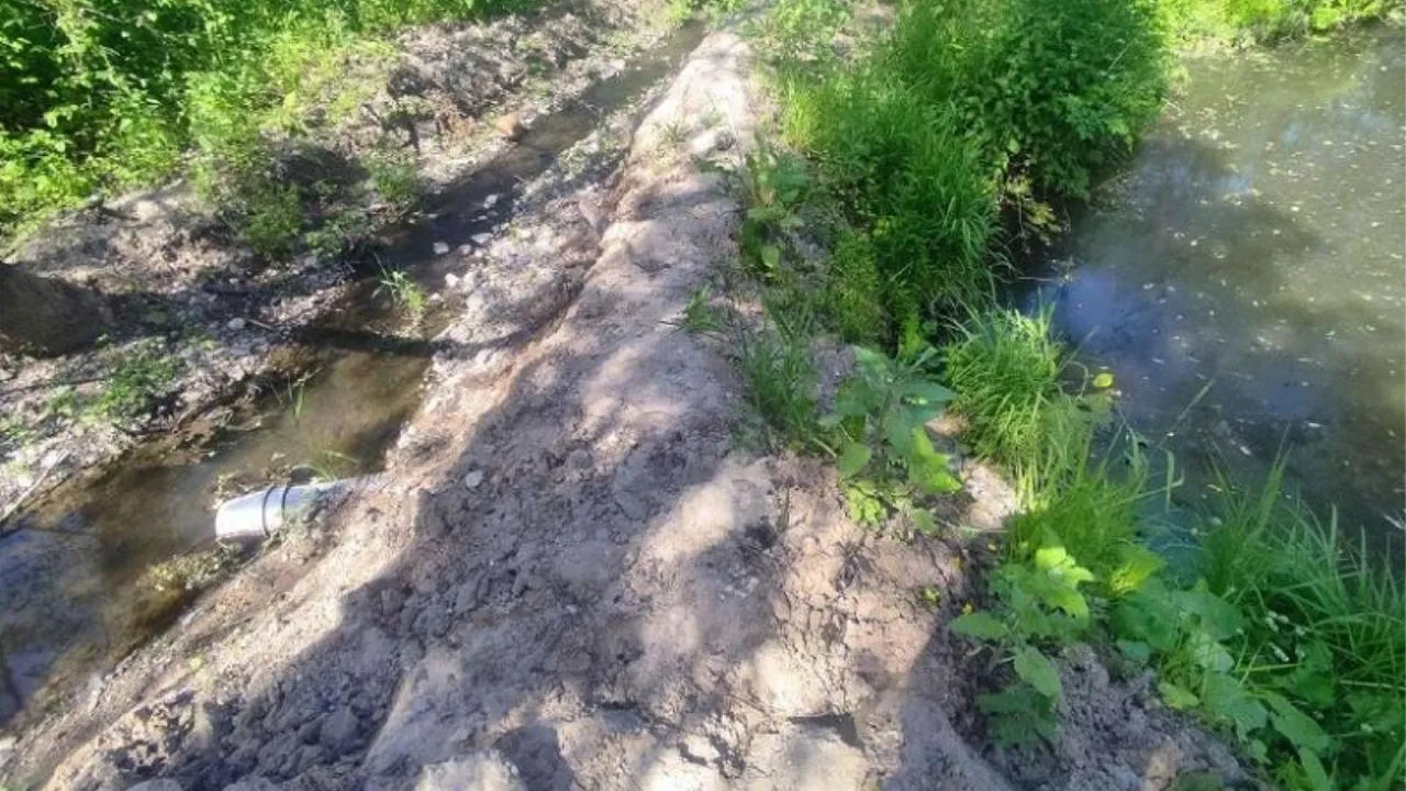 Незаконную свалку выявили вблизи подмосковных деревень Бутурлино и Палихово