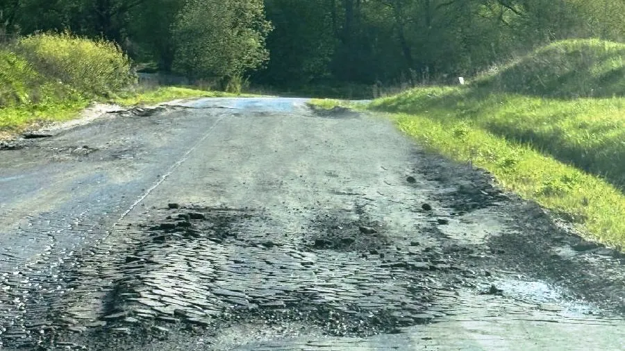 Фото: vk.com/shortkashira