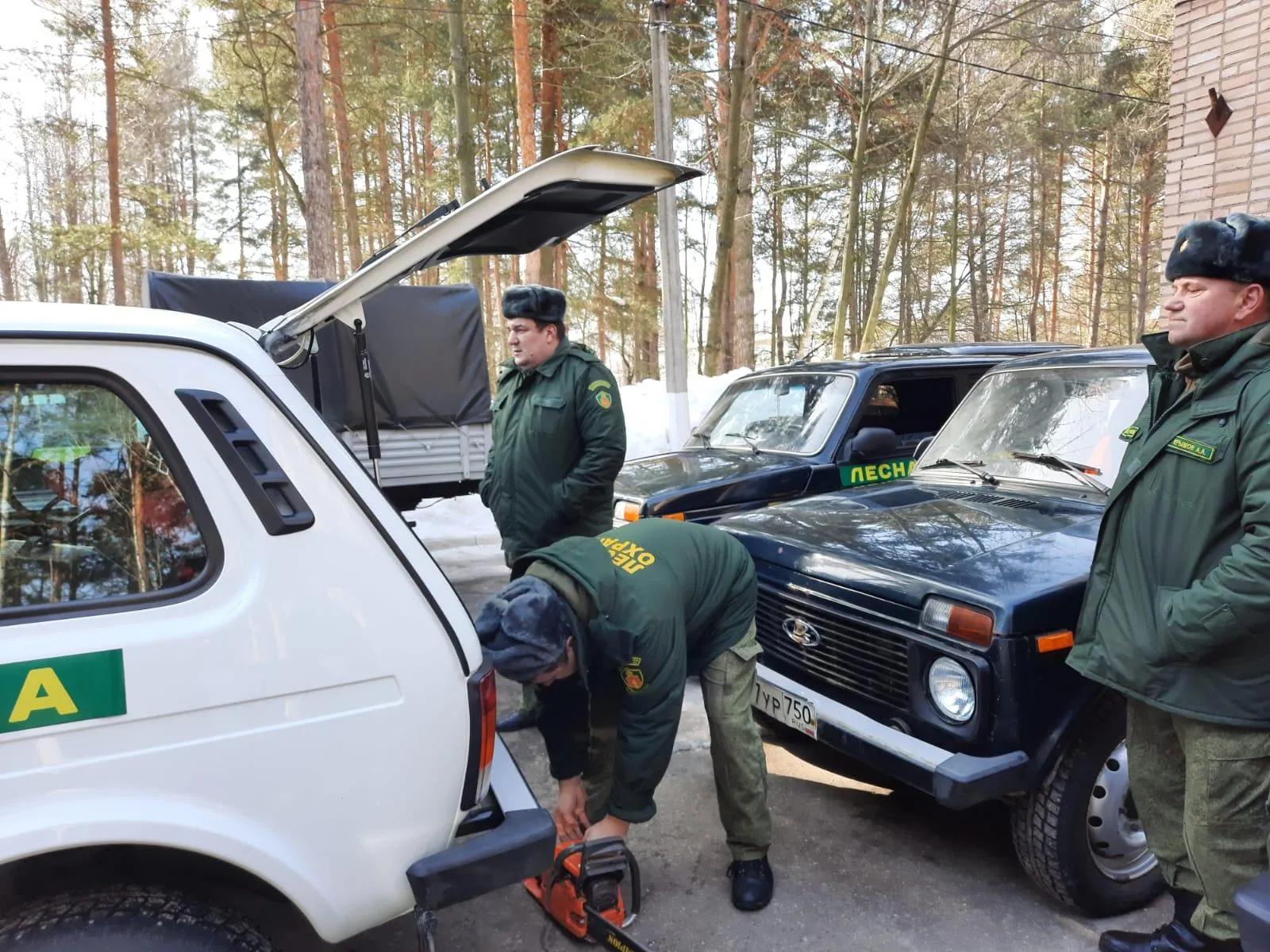 Фото: Комитет лесного хозяйства Московской области