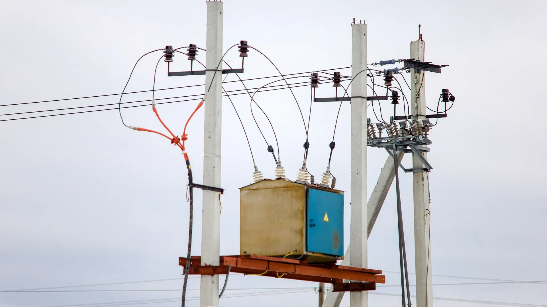 Фото: Анна Реппель