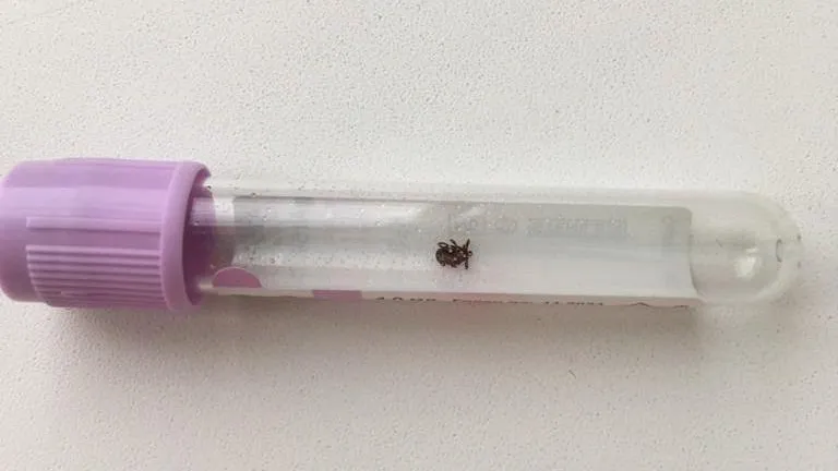 Коломенская областная больница