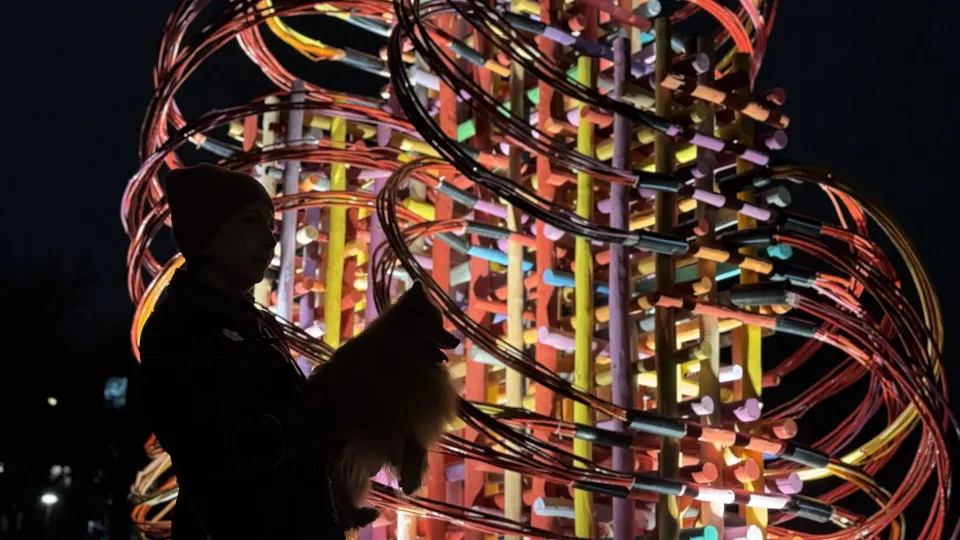 Фото: Министерство благоустройства Московской области