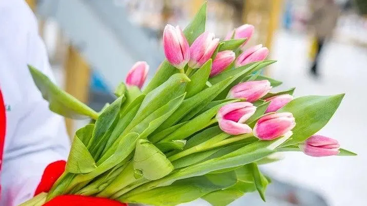 Министерство культуры и туризма Московской области