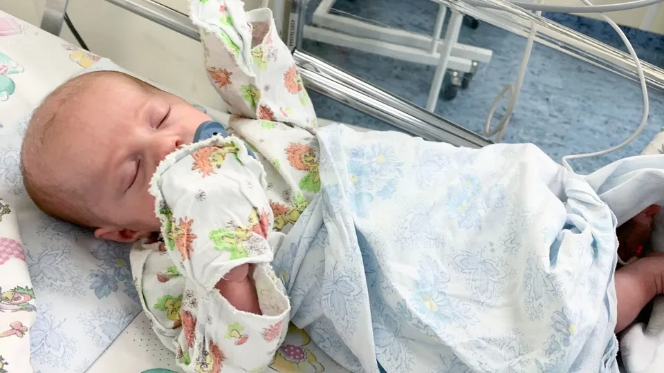 Фото: МедиаБанк Подмосковья/Ирина Мальцева