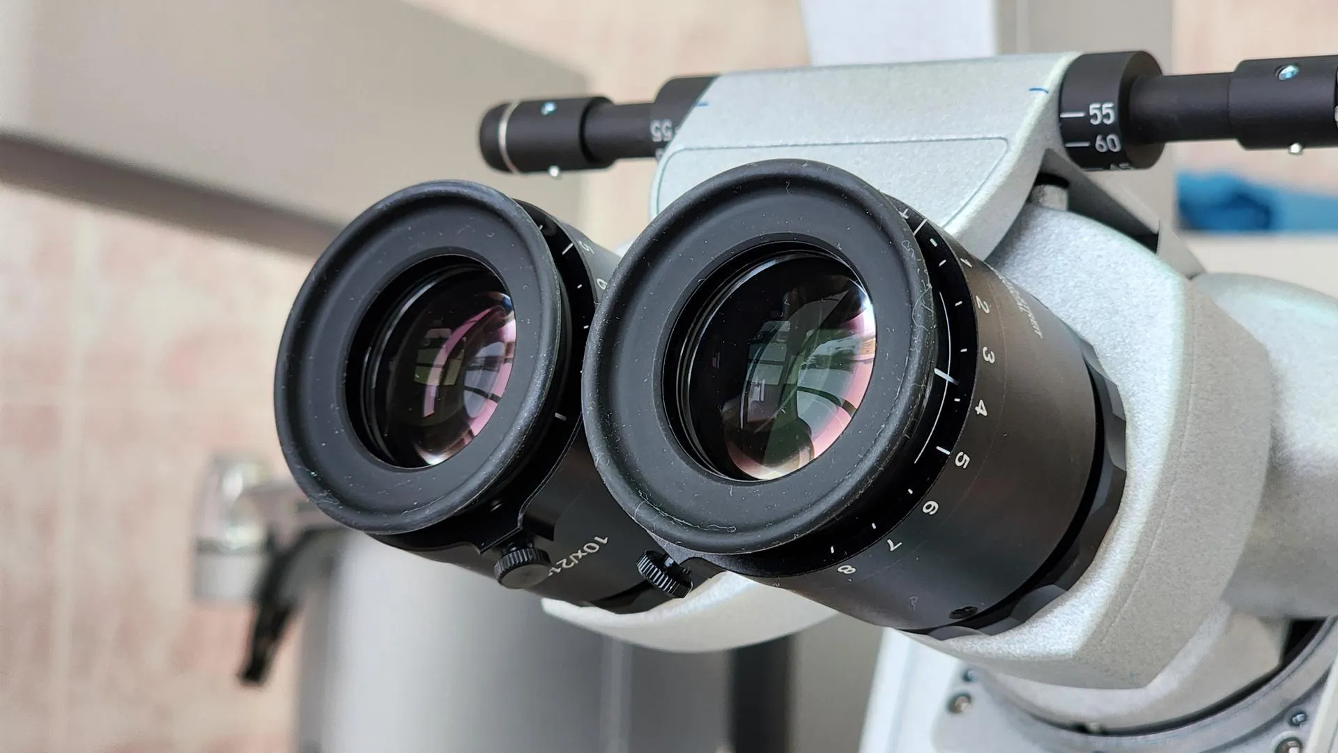 МедиаБанк Подмосковья/Екатерина Данилина