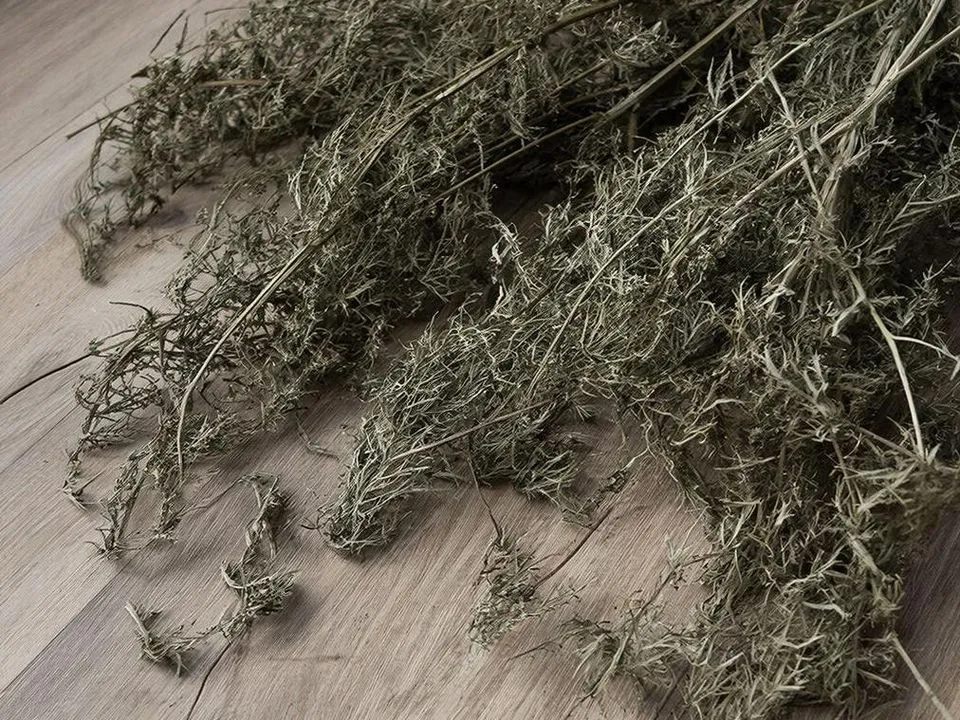 Фото: REGIONS/Сгенерировано нейросетью