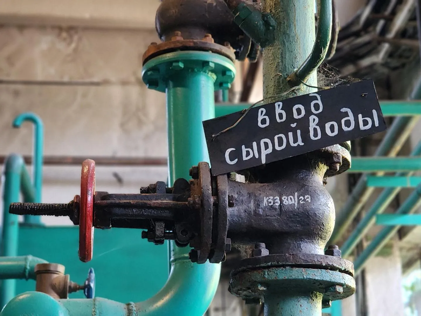 Фото: REGIONS/Валерия Тингаева