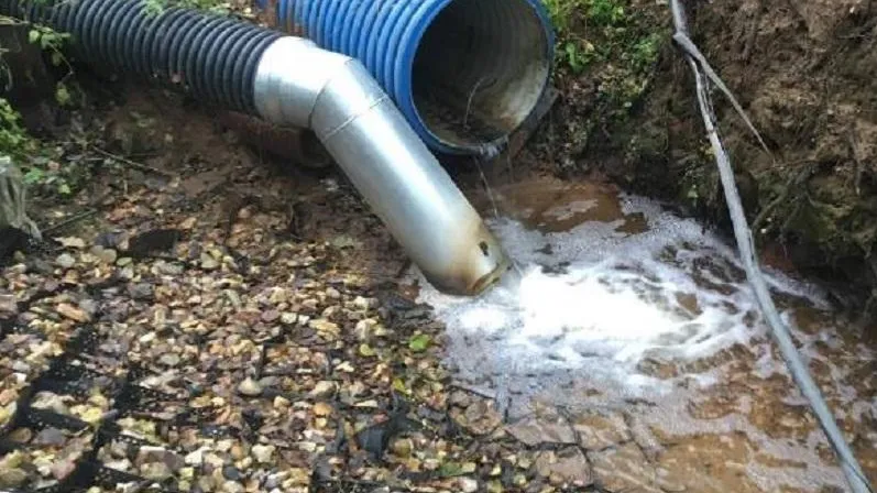 Фото: Министерство экологии и природопользования Московской области