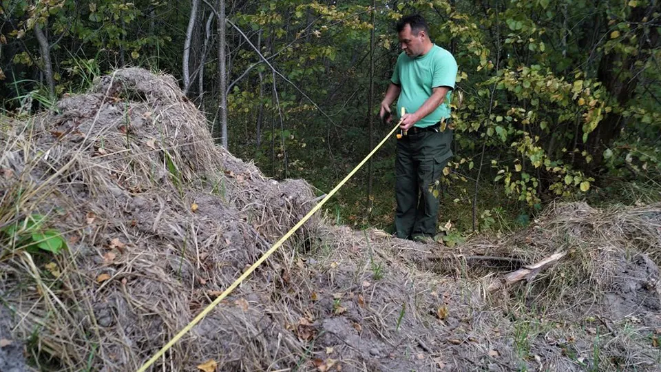Фото: Комитет лесного хозяйства Московской области