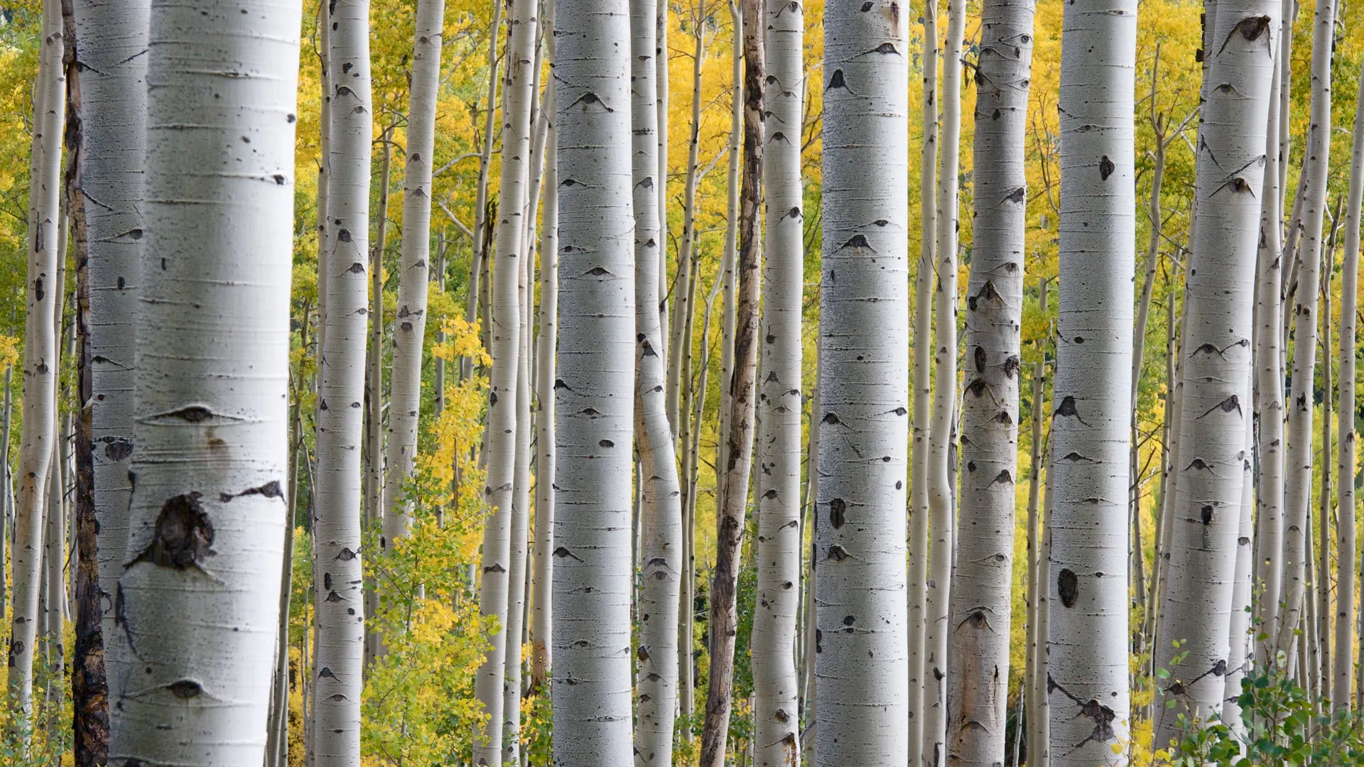 Фото: pxhere.com