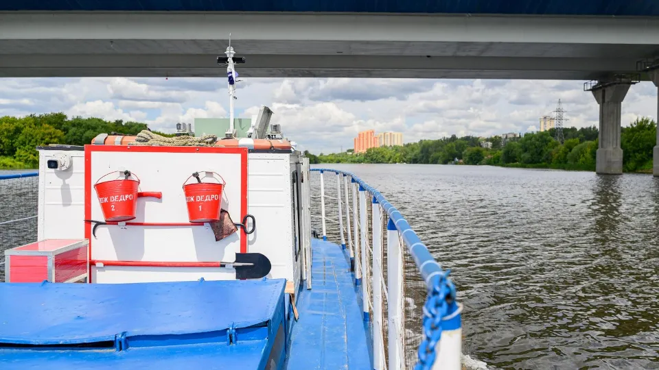 Фото: пресс-служба губернатора и правительства Московской области