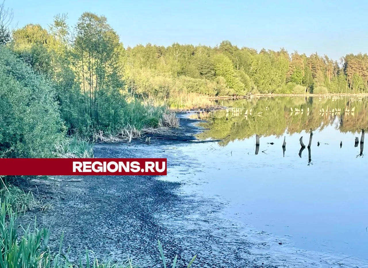 Фото: Сергей Букин