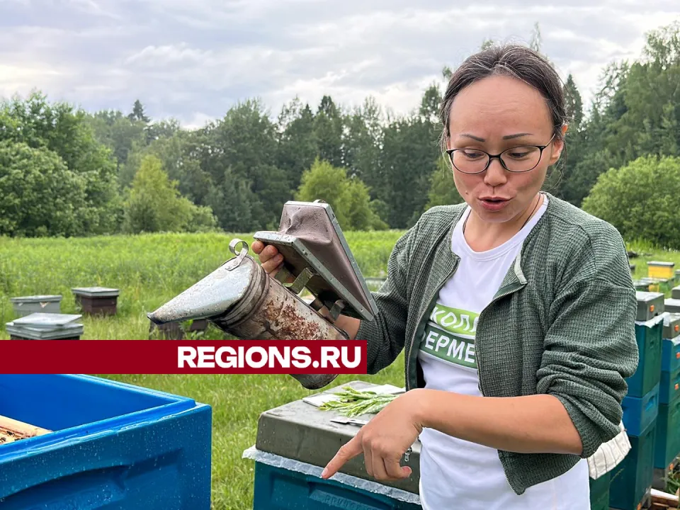 Фото: Данила Кирьянов