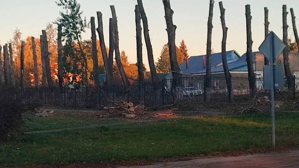 Фото: t.me/viktorpetruchenko_chat