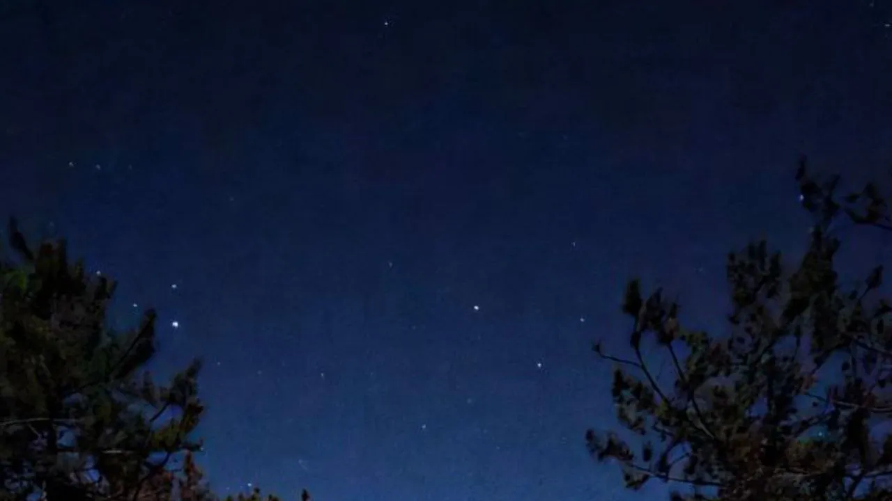 Фото: предоставлено Анастасией Широкой