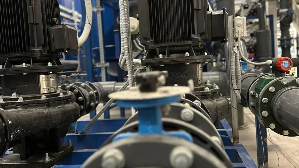 Фото: пресс-служба администрации г.о. Долгопрудный