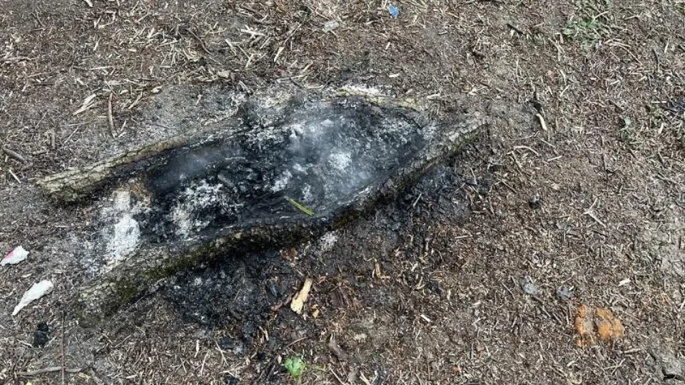 Фото: Министерство экологии и природопользования Московской области