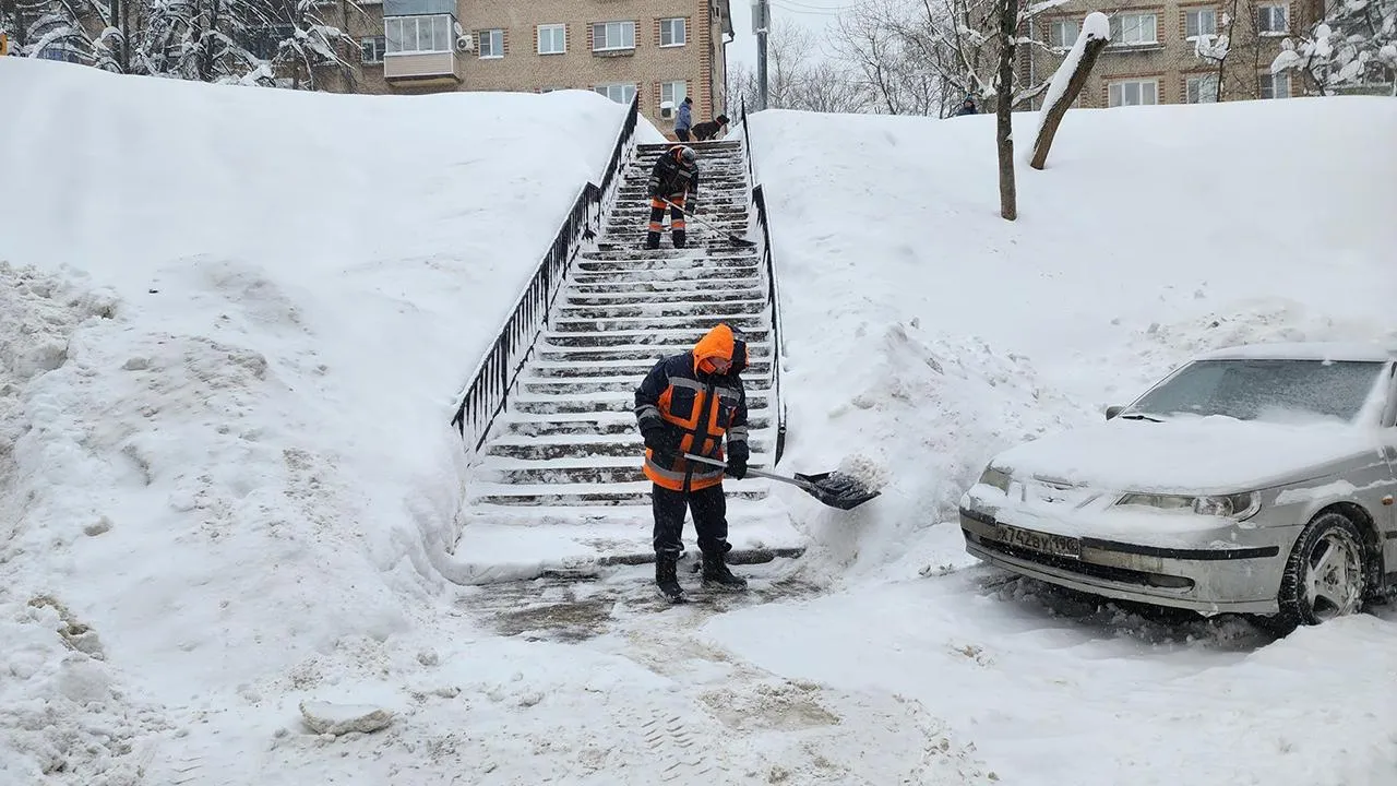 МедиаБанк Подмосковья/Екатерина Мелкозерова