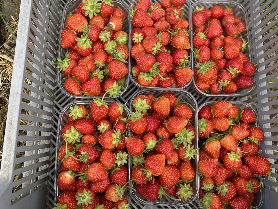 Фото: REGIONS/Юлия Лысихина