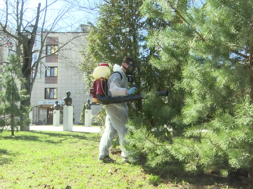 Фото: Ксения Казакова