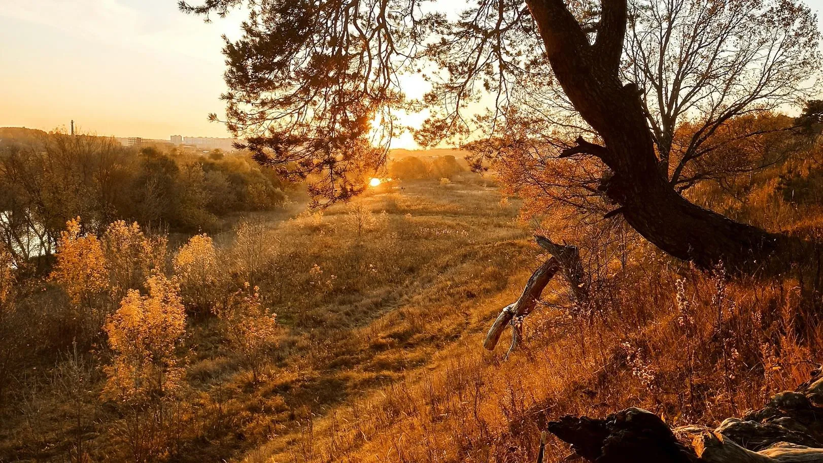 Фото: Ангелина Максимова