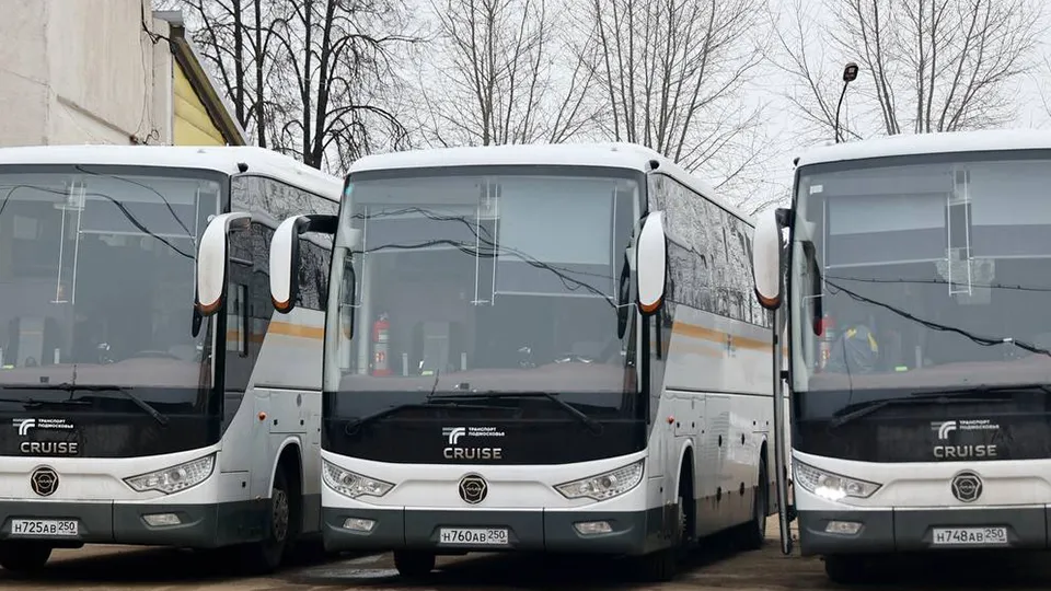 Фото: пресс-служба администрации г.о. Волоколамск