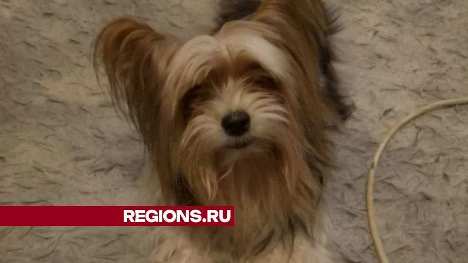 Фото: Александра Аксенова