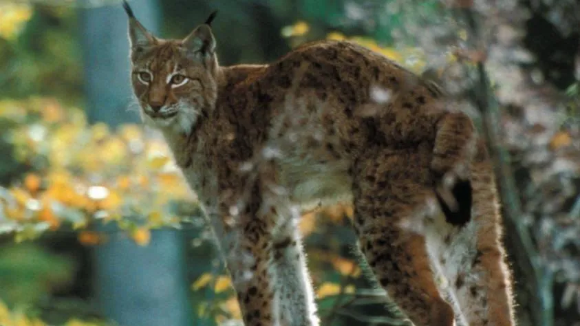 Фото https://vk.com/pressmo.