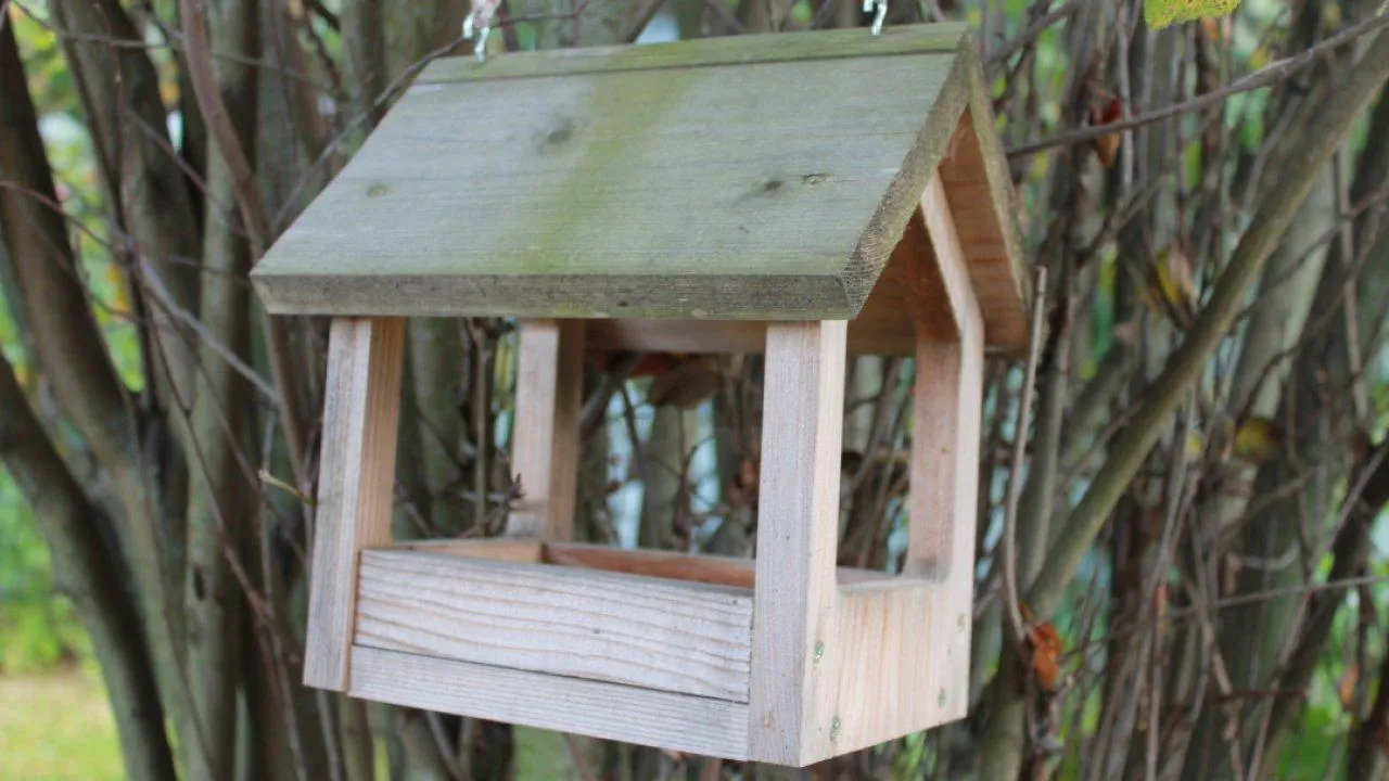 REGIONS/Илья Попов