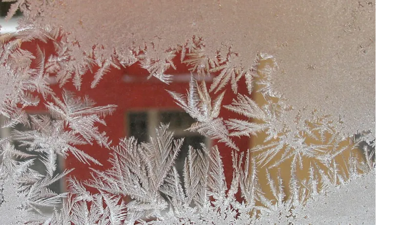 фото:.freepik.com