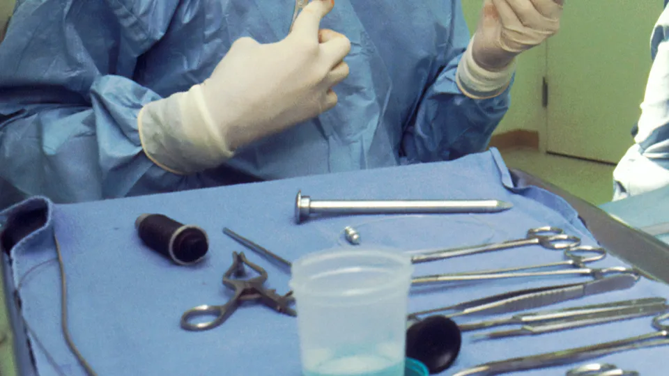 Фото: unsplash.com