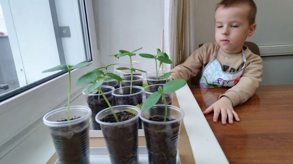 Фото: КЦСОиР «Серебряно-Прудский»