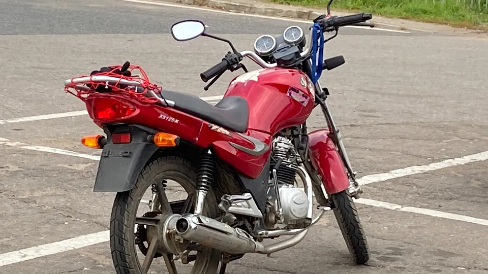 Фото: МедиаБанк Подмосковья/Светлана Борщева