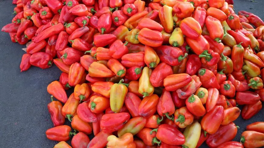 Фото Shutterstock/FOTODOM.