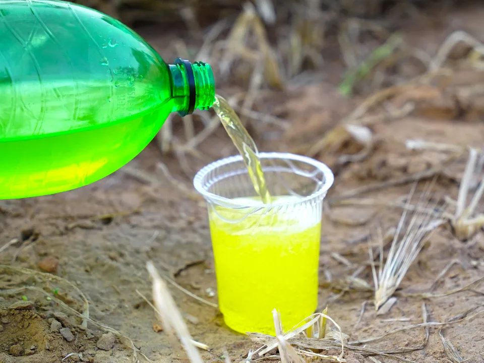 &nbsp; Фото: istockphoto.com