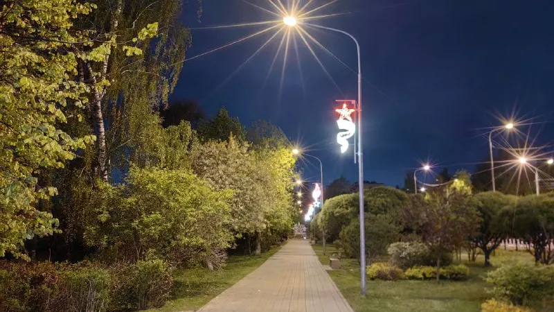 Фото: t.me/prodomodedovo