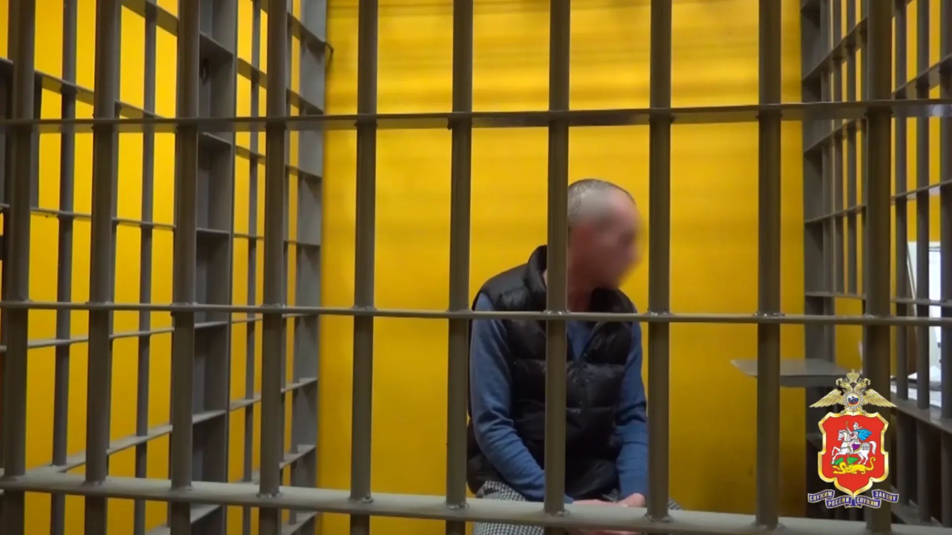 Telegram-канал «Подмосковная полиция»