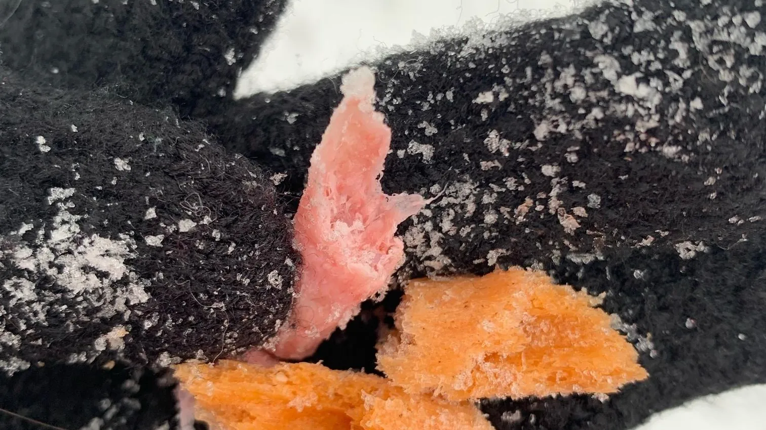 Фото соцсети.